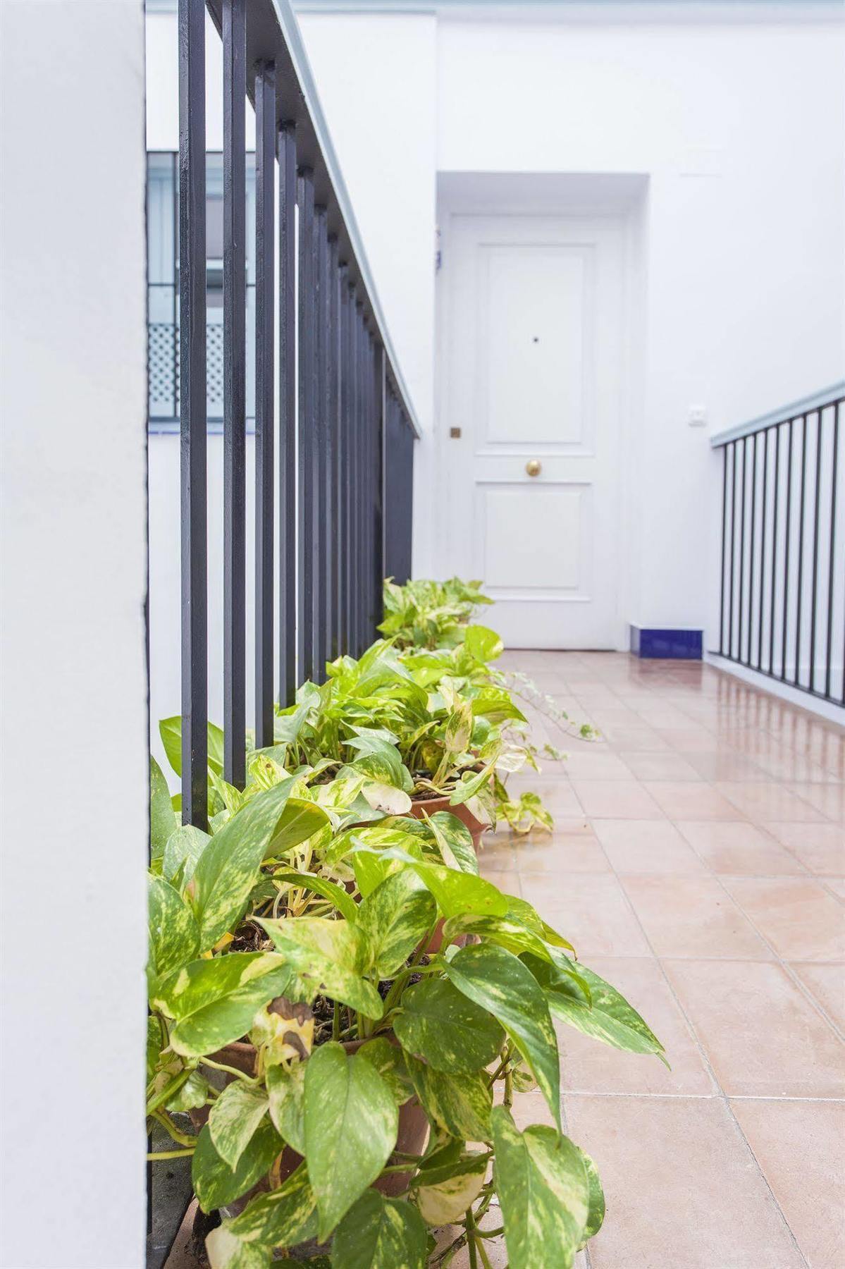 Apartamentos Suites Santa Cruz Sevilla Buitenkant foto